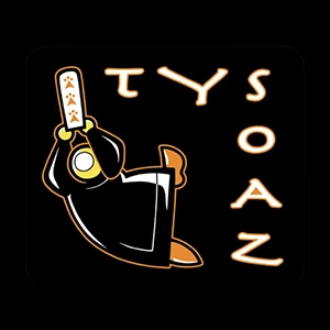 Logo TY SOAZ